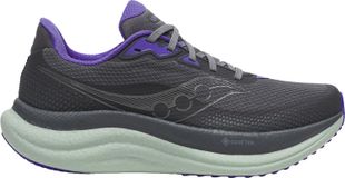 Saucony Triumph 23 GTX W-DARKGREY-USL 8