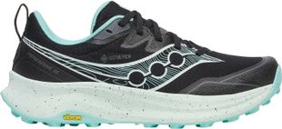 Saucony Peregrine 16 GTX W
