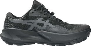 Asics Trabuco 14 GTX W