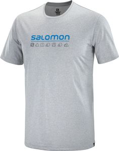 Salomon Agile Graphic Tee M