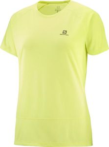 Salomon Cross Run SS Tee W